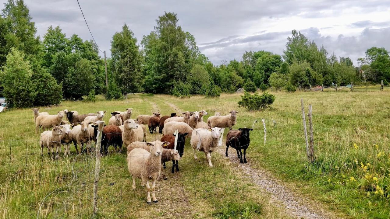 Suurekivi Kuelalistemaja Reigi Exterior foto